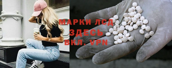 шишки Богородицк