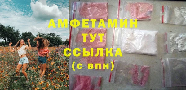гидра Богданович