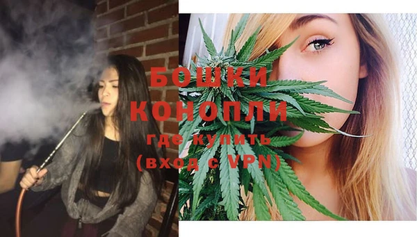 сатива Белокуриха