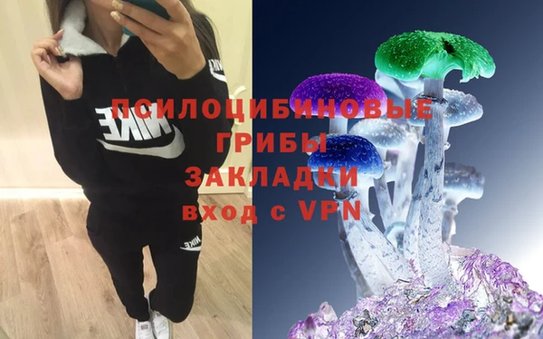гидра Богданович