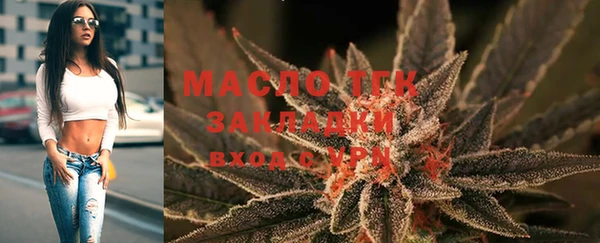 гидра Богданович